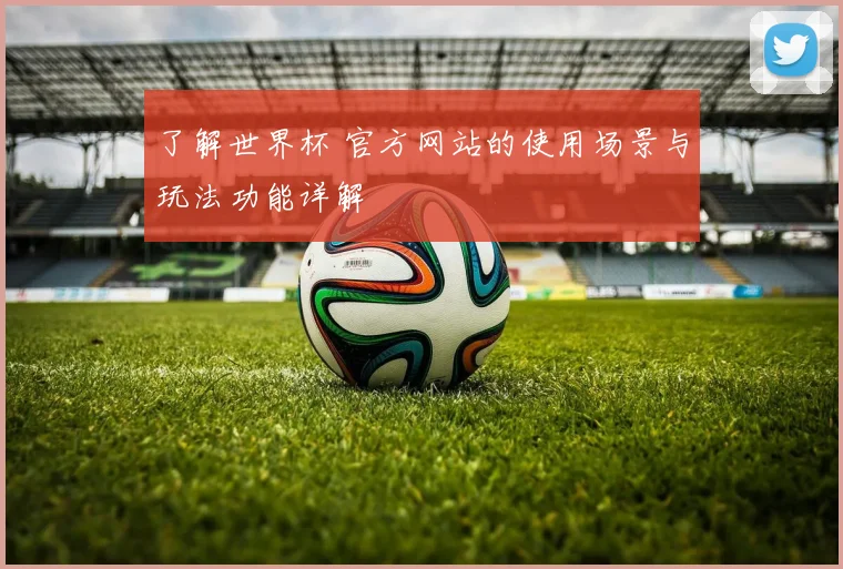 了解世界杯 官方网站的使用场景与玩法功能详解